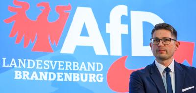 AfD Brandenburg klagt gegen Einstufung als „rechtsextrem“