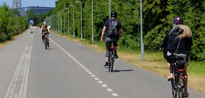 Was einem auf dem Radweg von Berlin nach Kopenhagen so alles begegnet